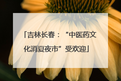吉林长春：“中医药文化消夏夜市”受欢迎